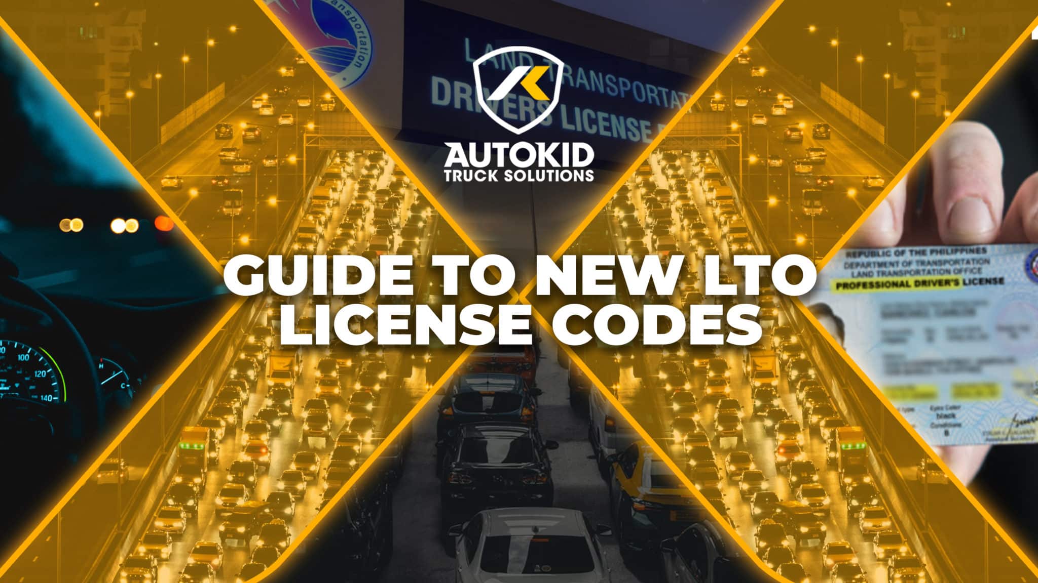 Guide to New LTO License Codes - Autokid